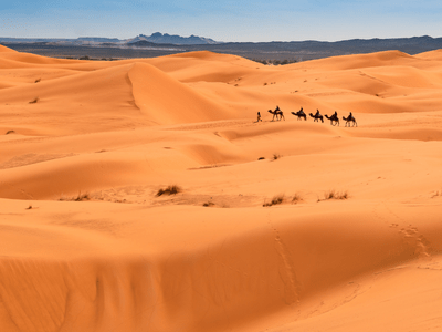 Tour nel deserto di 5 giorni da Fes a Marrakech