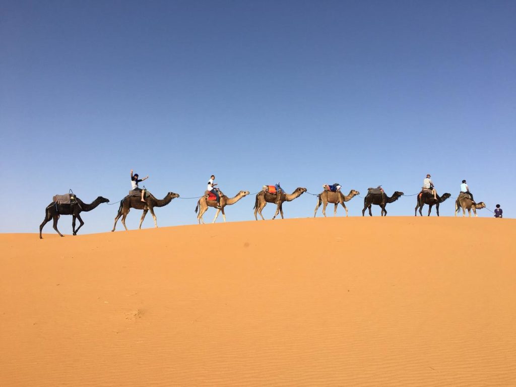 top rated desert tours in Merzouga Morocco Tours Agency