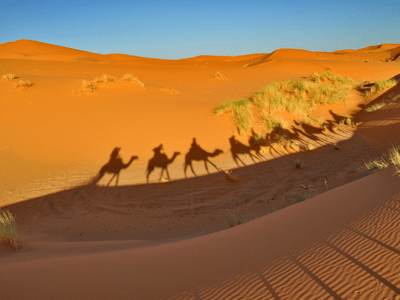 Tour di 8 giorni per il Marocco da Marrakech al deserto di Merzouga