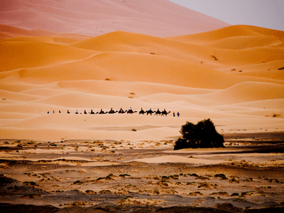 Tour di 6 giorni da Agadir a Fes per il deserto di Merzouga
