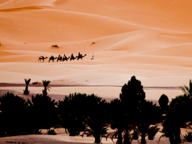 Tour di 8 giorni da Fes al deserto di Merzouga